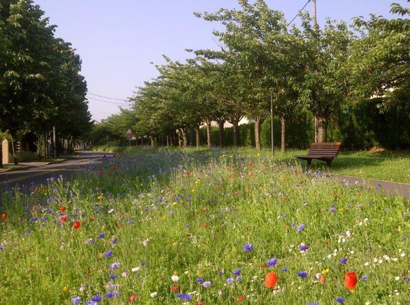 Appart hôtel STUDIHOTEL Palaiseau Plateau Saclay Bagian luar foto